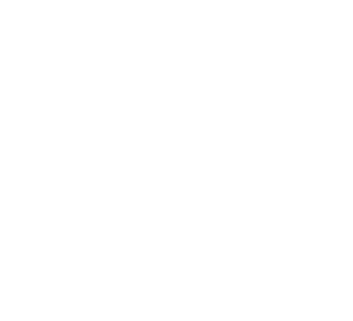 Demo Guys FL